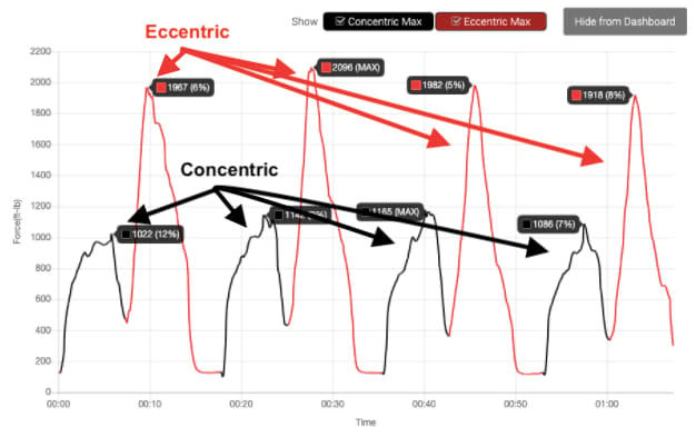 Eccentric and concentric peaks on a workout graph